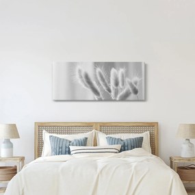 Obraz - Bunny tail grass (120x50 cm)