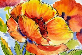 Obraz kytica makových kvetov Varianta: 120x80