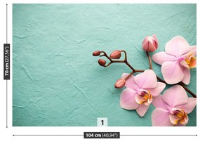 Fototapeta Vliesová Orchid pink 416x254 cm