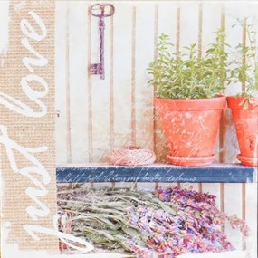 Obraz tlačený na plátne 28x28 PRC906