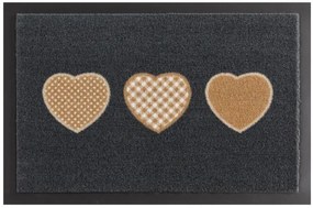 Hanse Home Collection koberce Rohožka 3 srdce béžová 102508 - 40x60 cm