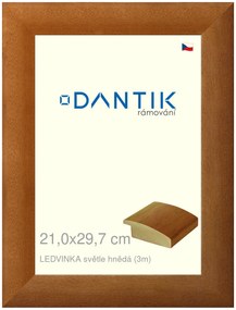 DANTIK rám na obraz 21x29,7 | LEDVINKA světle hnědá (Sklo Čiré)