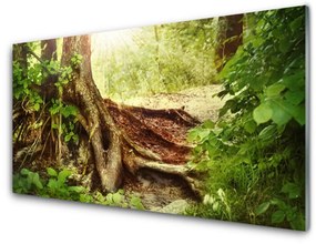 Sklenený obklad Do kuchyne Strom kmeň príroda les 100x50 cm