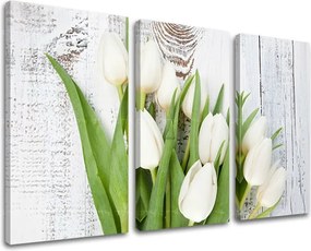 Obraz na stenu 3 dielny KVETY KV036E30 - 120x80 cm