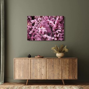 Obraz - Ružová sakura (90x60 cm)