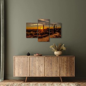 Obraz - Koniec dňa v arizonskej púšti (90x60 cm)