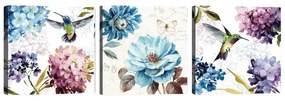 Sada 3 obrazov Tablo Center Hummingbird