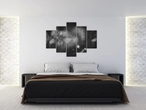 Obraz - Lúčna tráva (150x105 cm)