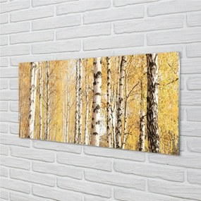 Sklenený obraz jesenné stromy 120x60 cm