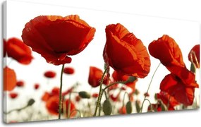 Obraz na stenu Panoráma KVETY
