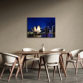 Obraz nočného Singapuru (70x50 cm)
