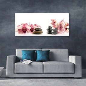 Obraz na akrylátovom skle Kvet kamene umenie 125x50 cm