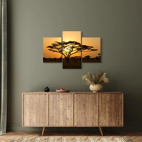 Obraz - Africká savana (90x60 cm)