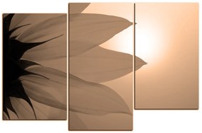 Obraz na plátne - Slnečnica kvet 1201FD (135x90 cm)