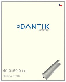 DANTIK rám na obraz 40x50 | ALU Stříbrná matná (Plexi Čiré)
