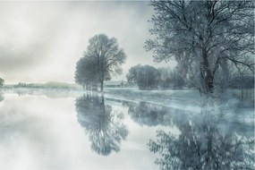 Obraz zimnej prírody (90x60 cm)