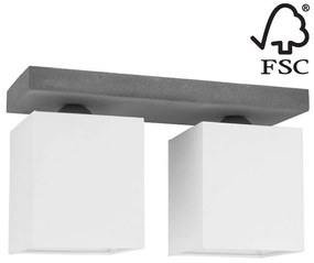 Spot-Light 2241236 - Stropné svietidlo GREAT 2xE27/25W/230V betón