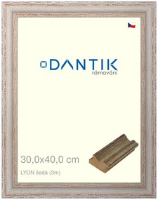 DANTIK rám na obraz 30x40 | LYON šedá (Plexi Čiré)