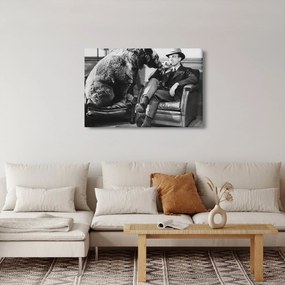 Obraz - Cirkus (90x60 cm)