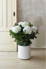 Umelá hortenzia HYDRANGEA v bielom kvetináči, výška 78 cm, biela