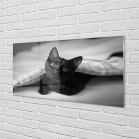 Obraz na akrylátovom skle Mačka pod prikrývkou 125x50 cm