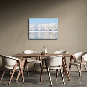 Obraz zimnej krajiny (70x50 cm)