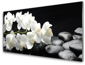 Obraz na akrylátovom skle Kvet kamene rastlina 125x50 cm