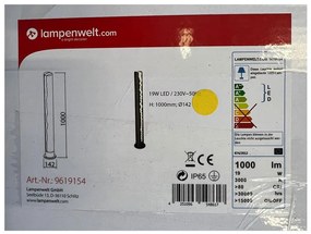 Lampenwelt Lampenwelt - LED Vonkajšia lampa KEKE LED/19W/230V IP65 LW0359