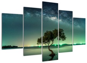 Obraz - magická noc