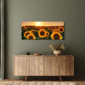 Obraz - Slnečnica (120x50 cm)