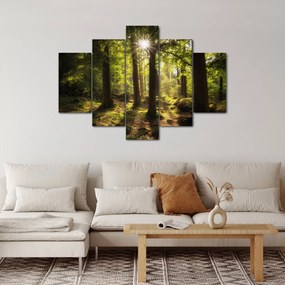 Obraz snového lesa (150x105 cm)