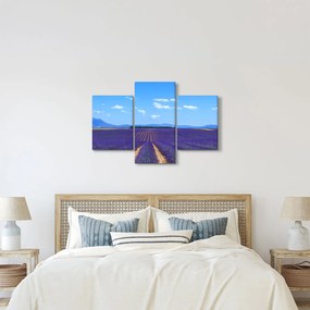 Obraz - Levanduľové pole (90x60 cm)