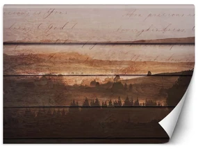 Gario Fototapeta Les na historických doskách Materiál: Vliesová, Rozmery: 350 x 245 cm