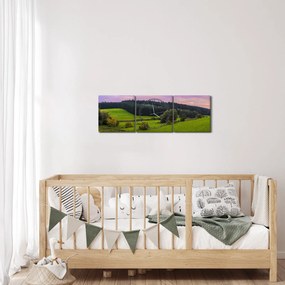 Obraz lúky (s hodinami) (90x30 cm)