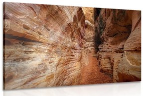 Obraz cestička Grand Canyonom Varianta: 90x60