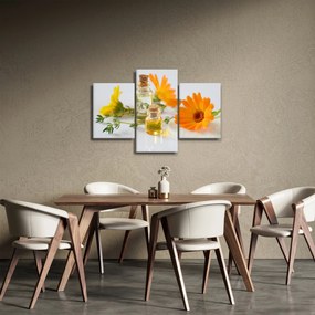 Obraz oranžových kvetín (90x60 cm)