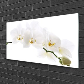 Obraz na skle Kvetiny rastlina 140x70 cm