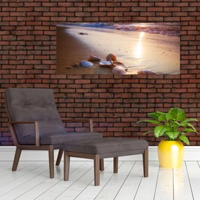 Obraz - Mušle (120x50 cm)