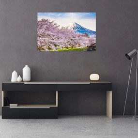 Obraz - Japonsko na jar (90x60 cm)