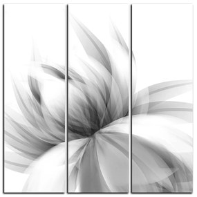 Obraz na plátne - Elegantný kvet - štvorec 3147QB (105x105 cm)