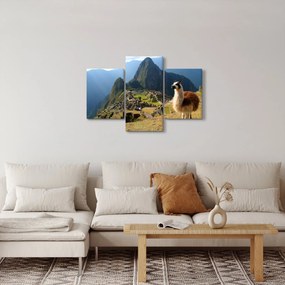 Obrázok - Lama a Machu Picchu (90x60 cm)