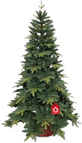 Jedľa Kangri 210 cm