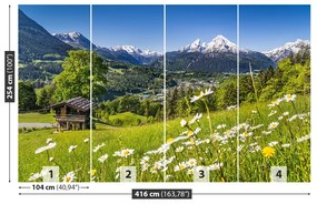 Fototapeta Vliesová Bavorsko hory 312x219 cm
