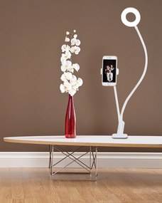 TOP-LIGHT LED stolná lampa s držiakom na telefón NECK B, 5W, teplá biela-studená biela, biela