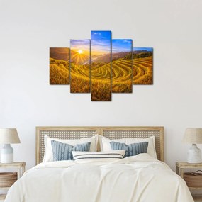 Obraz - Ryžové terasy vo Vietname (150x105 cm)