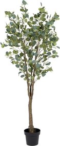 Umelý eukalyptus (výška 173 cm) Eucalyptus – Ixia