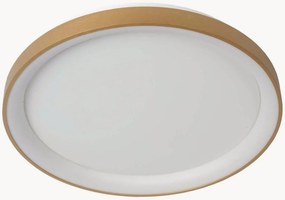 Stmievateľné stropné LED svietidlo Vidal