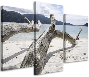 Obraz na plátně třídílný Větev stromu Moře Pláž Hory - 120x80 cm