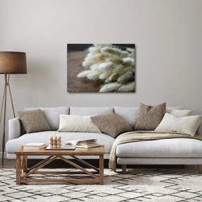Obraz - Zajačí chvostík (70x50 cm)