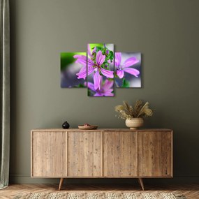 Detailný obraz kvetiny (90x60 cm)
